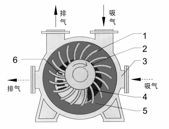 2BE1水环式真空泵结构�? class=